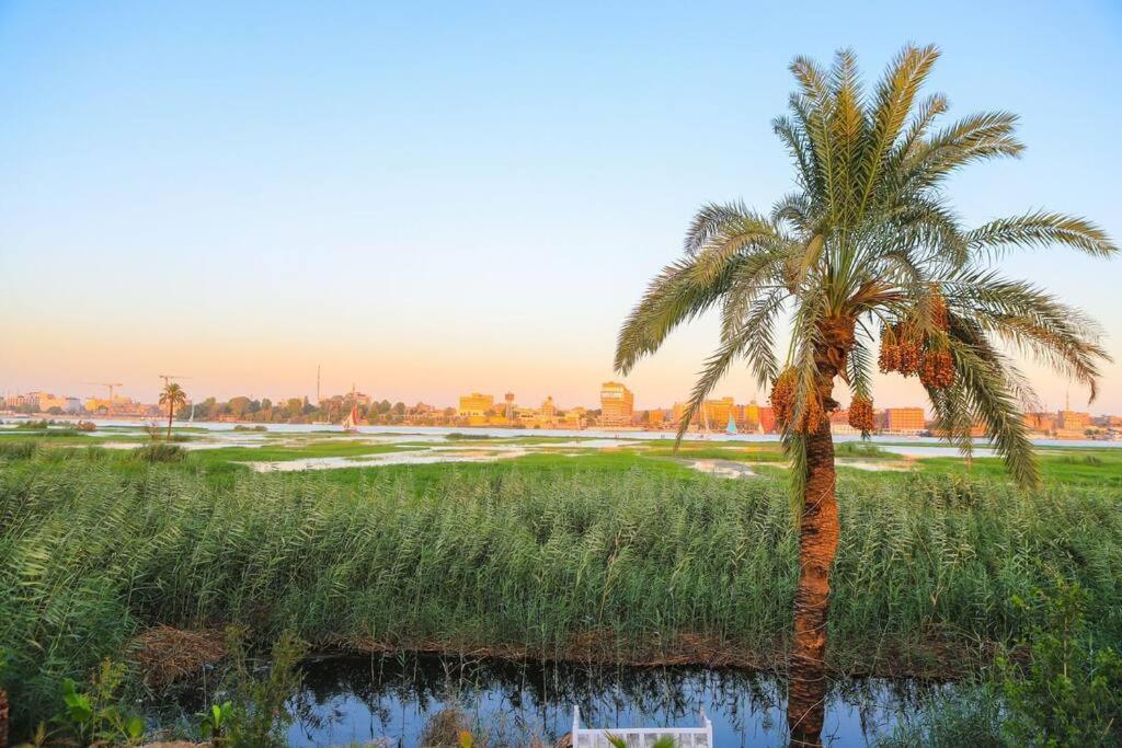 לוקסור Royal Nile Villa - Nile View Apartment 1 מראה חיצוני תמונה