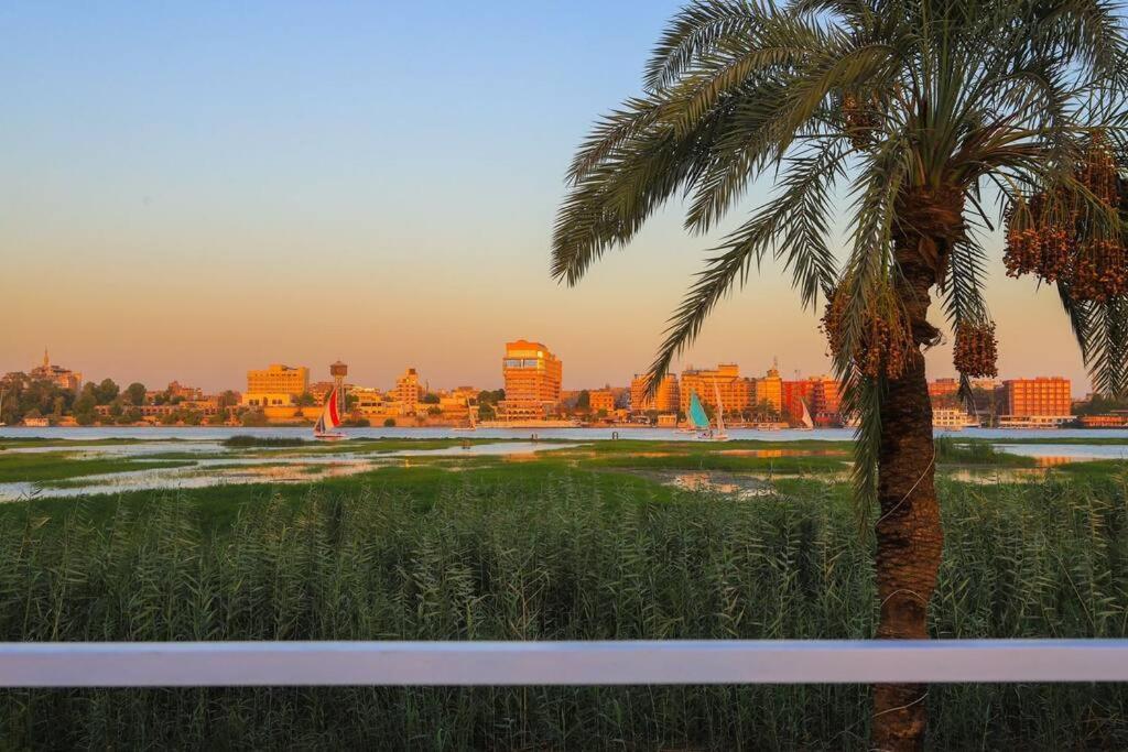לוקסור Royal Nile Villa - Nile View Apartment 1 מראה חיצוני תמונה