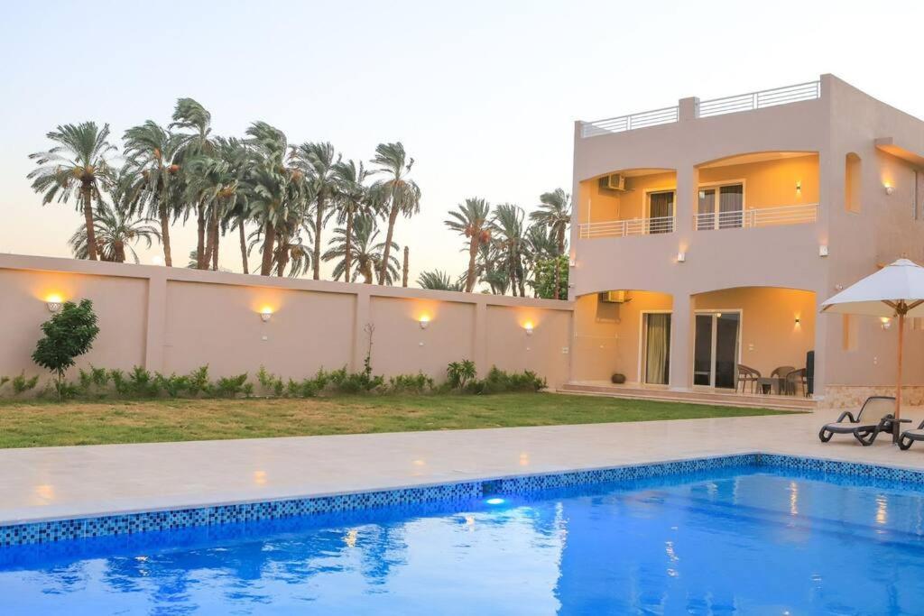 לוקסור Royal Nile Villa - Nile View Apartment 1 מראה חיצוני תמונה