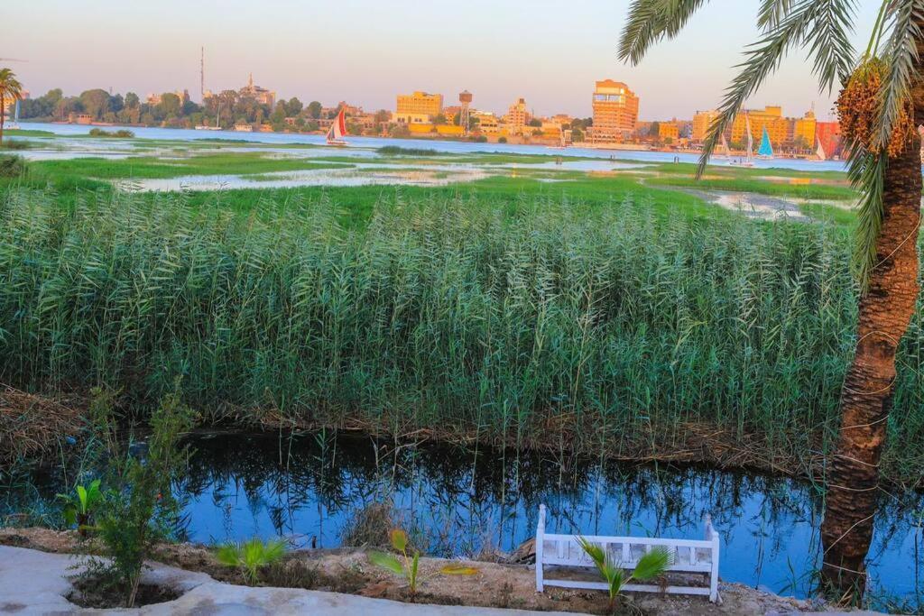 לוקסור Royal Nile Villa - Nile View Apartment 1 מראה חיצוני תמונה